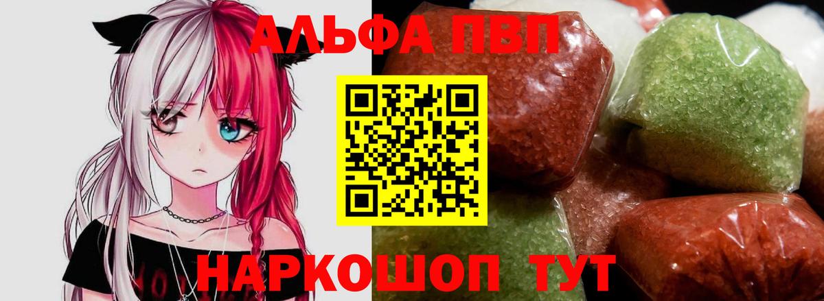 Альфа ПВП СК Светлоград