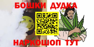 молекула духа Новозыбков