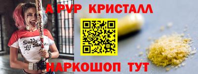 молекула духа Новозыбков
