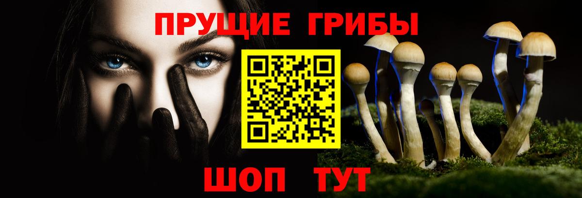 Светлоград  Псилоцибиновые грибы прущие грибы  Вход с VPN 